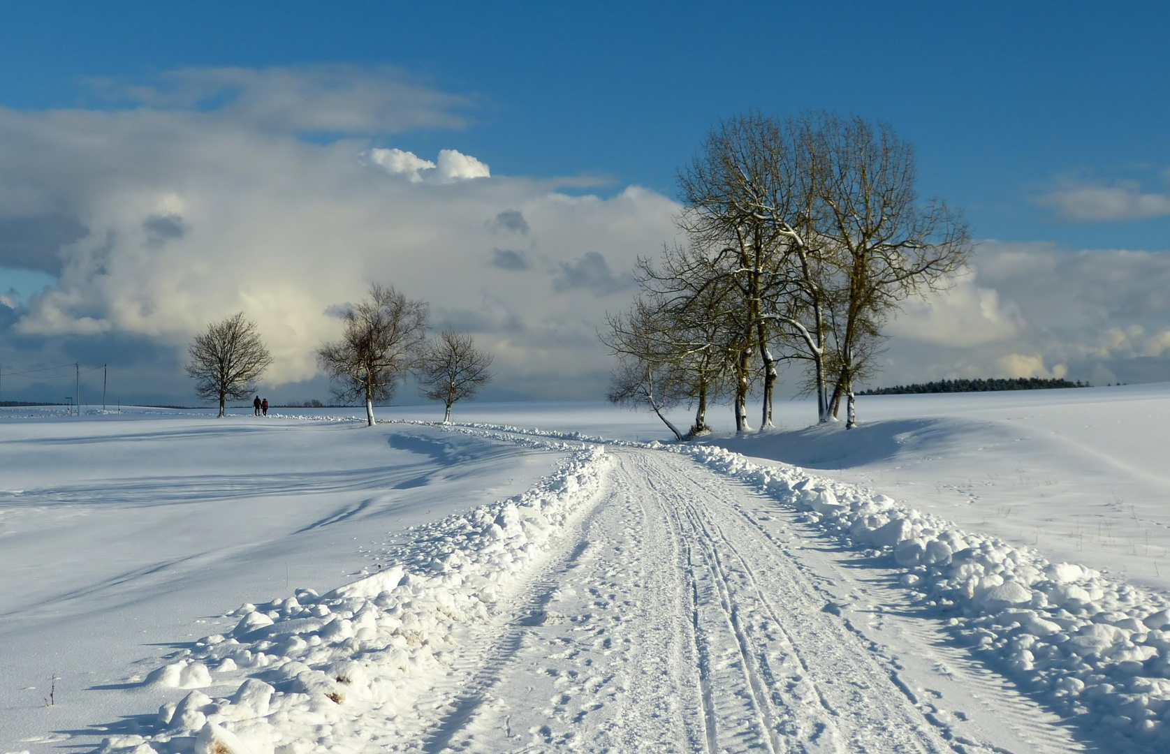 Spaziergang nach Wolkenkuckucksheim