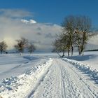 Spaziergang nach Wolkenkuckucksheim