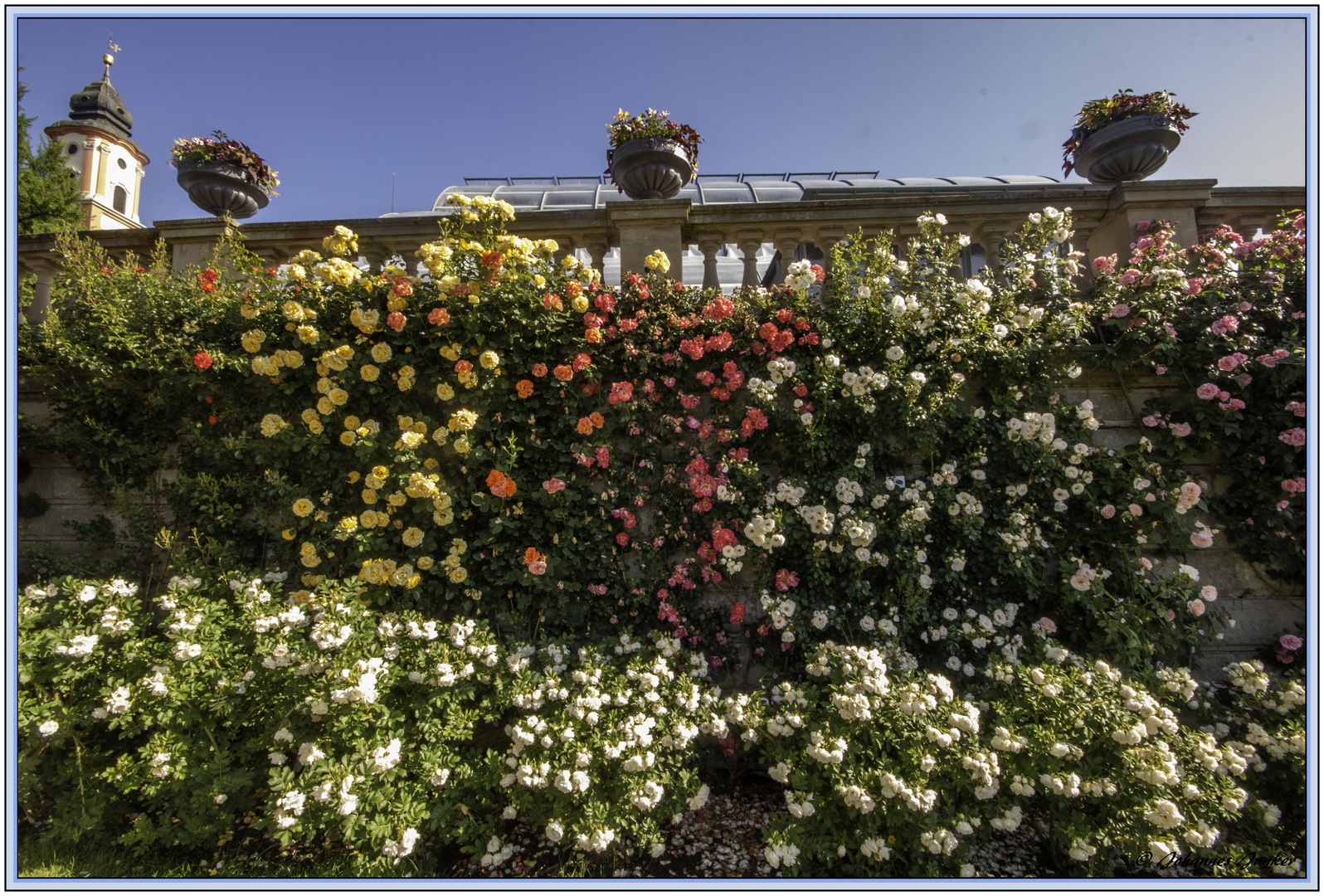 Spaziergang über die Mainau 