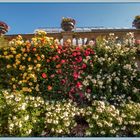 Spaziergang über die Mainau 