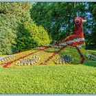 Spaziergang über die Mainau 