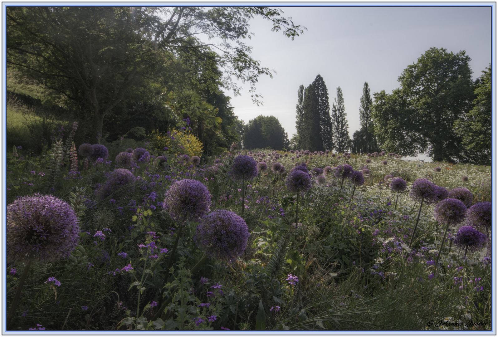 Spaziergang über die Mainau 