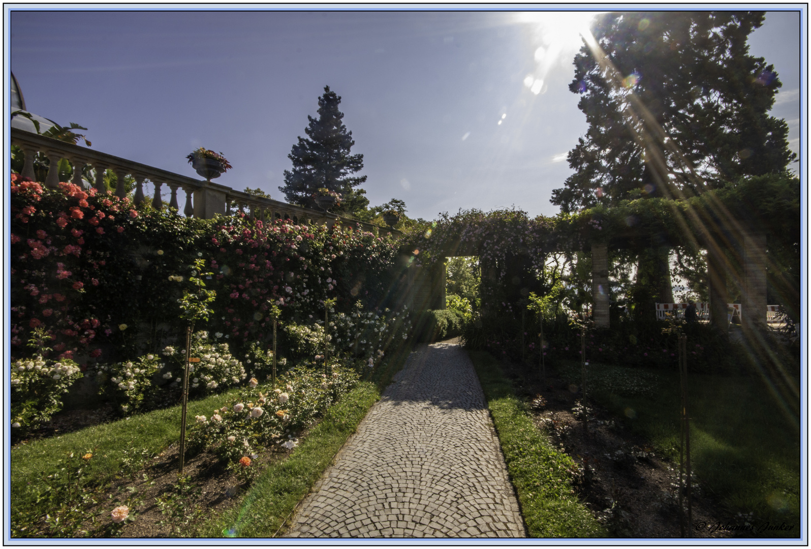 Spaziergang über die Mainau 