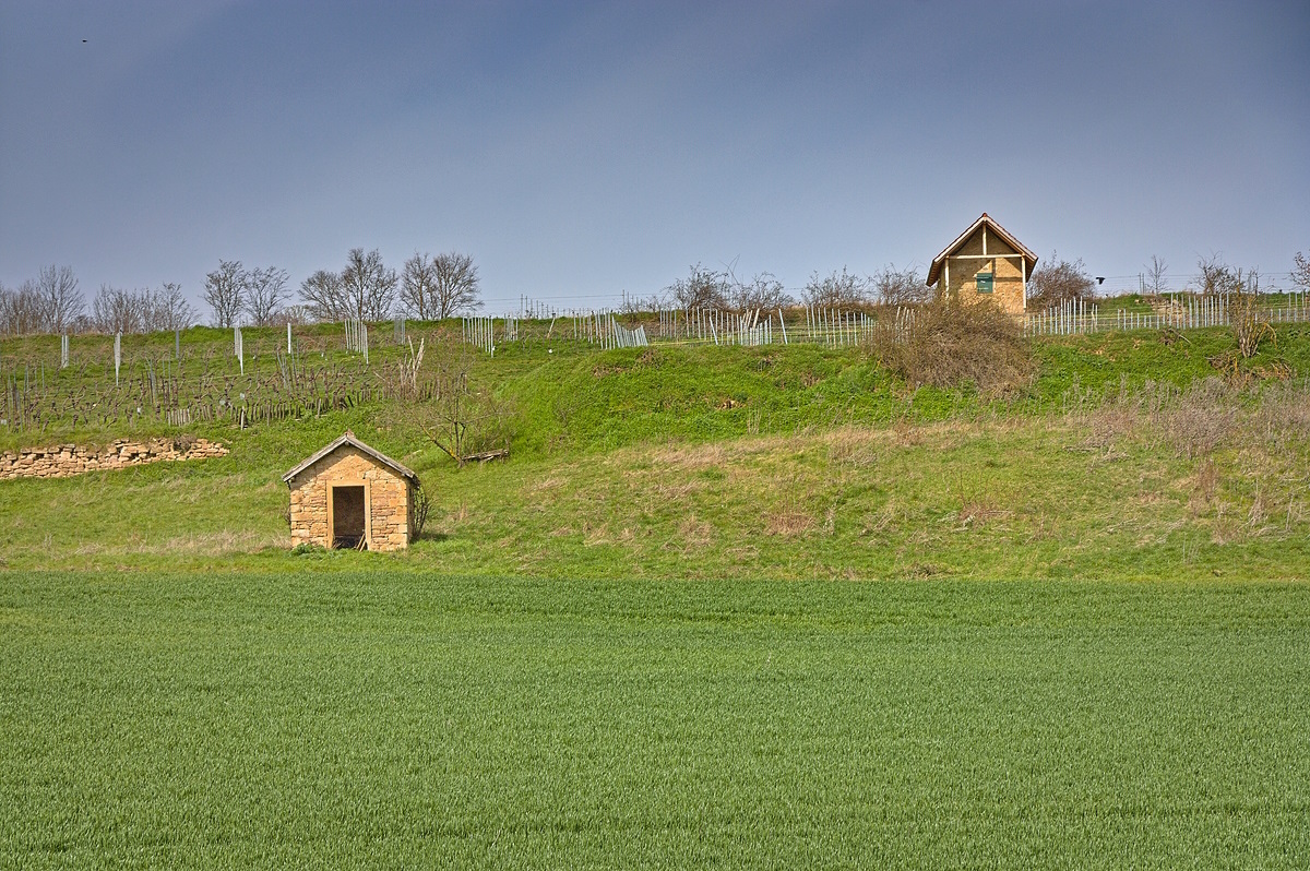 Spaziergang um den Alzeyer Weiher