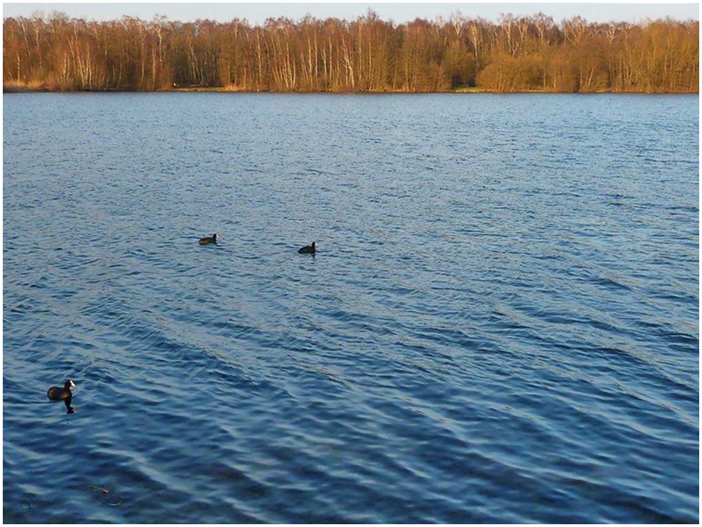 Spaziergang um den Dreiländersee in Gronau