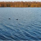 Spaziergang um den Dreiländersee in Gronau