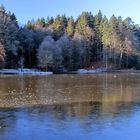 Spaziergang um den Ebnisee