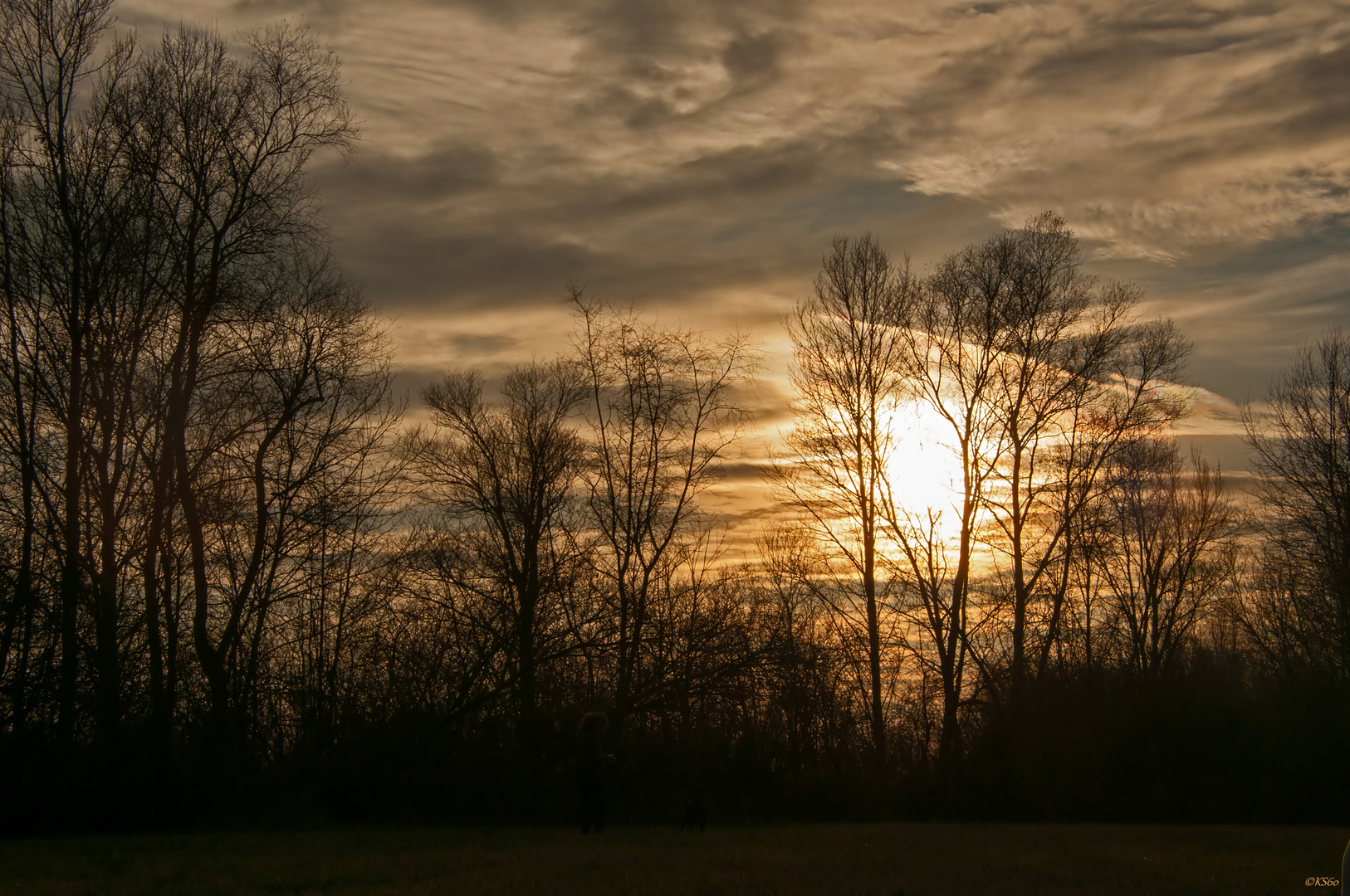 ... Spaziergang um den Erlichsee am 25.12.2015 - Frau mit Hund ...