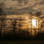 ... Spaziergang um den Erlichsee am 25.12.2015 - Frau mit Hund ...