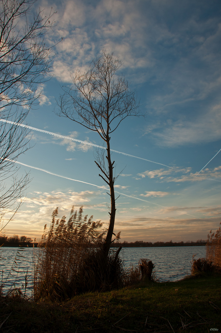 ... Spaziergang um den Erlichsee am 25.12.2015 - Stille ...