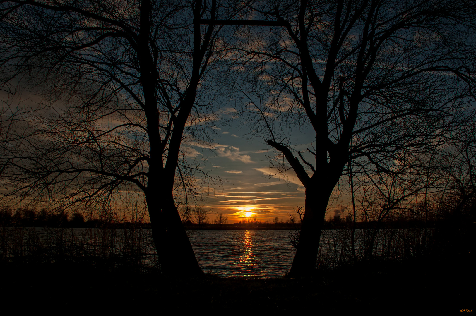 ... Spaziergang um den Erlichsee am 25.12.2015 - two trees & the sun ...