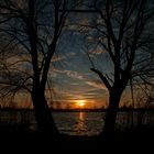 ... Spaziergang um den Erlichsee am 25.12.2015 - two trees & the sun ...