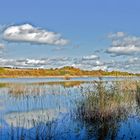 Spaziergang um den See