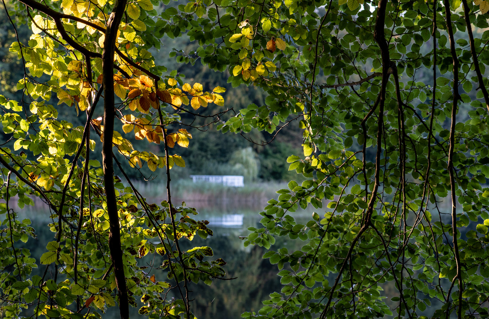 Spaziergang um den Uklei See