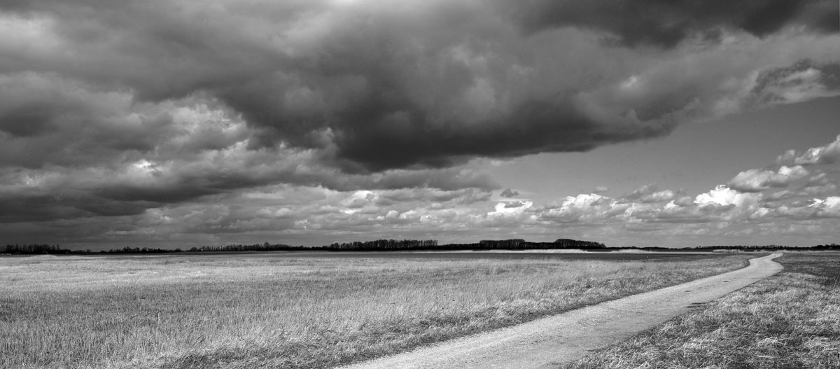 Spaziergang um die Lange Lacke, Neusiedlersee