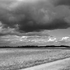 Spaziergang um die Lange Lacke, Neusiedlersee