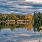 Spaziergang um einen Weiher