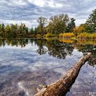 Spaziergang um einen Weiher