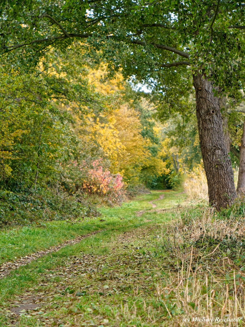 Spaziergang um einen Weiher