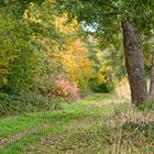 Spaziergang um einen Weiher