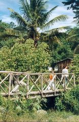 Spaziergang um unser Hotel in Jarabacoa II