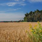 Spaziergang ums Dorf