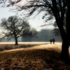 Spaziergang unter Winterbäumen