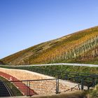 Spaziergang zu den Weinbergen 