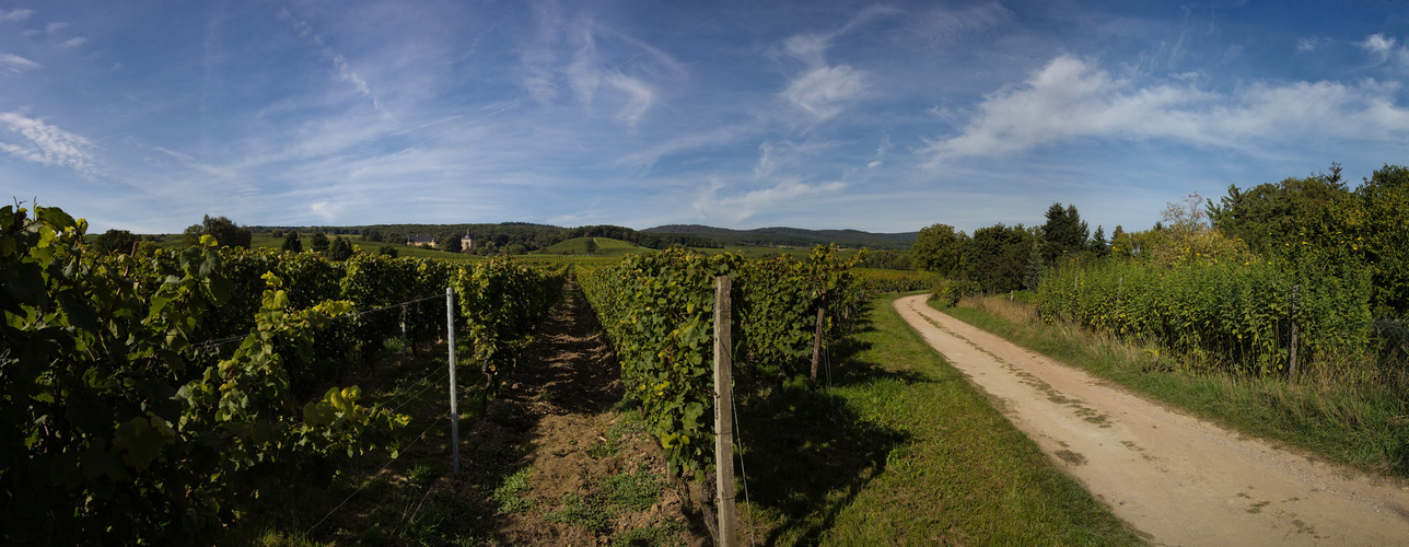 Spaziergang zu Schloss Vollrads