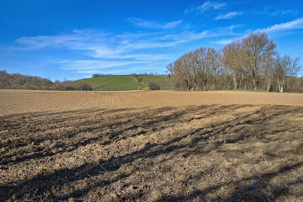 Spaziergang zu unserem kleinen Weiher