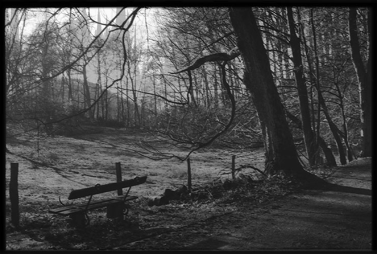 spaziergang zum drachenfels