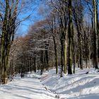 Spaziergang zum Feldberg im Taunus