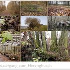 Spaziergang zum Herzogbusch