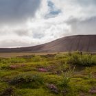 Spaziergang zum Hverfjall