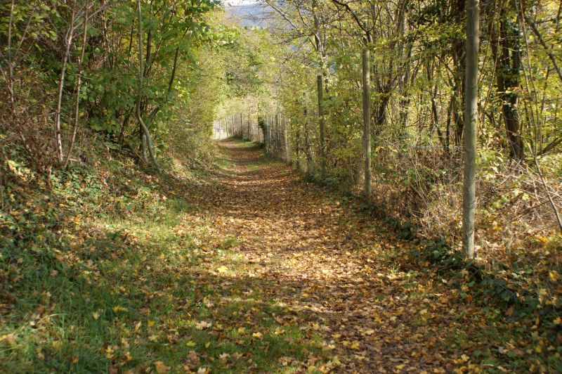 Spaziergang zum Remigiusberg