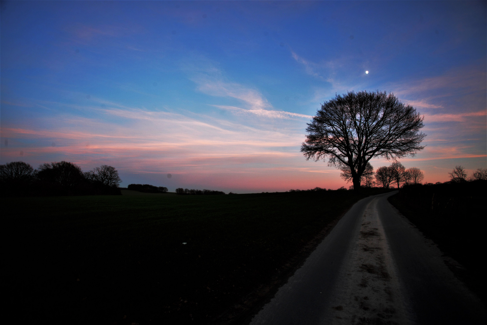 Spaziergang zur blauen Stunde