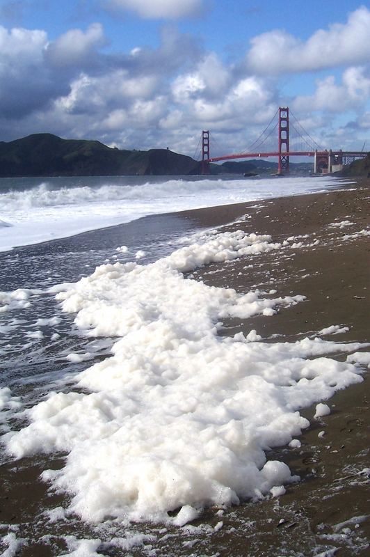 Spaziergang zur Golden Gate