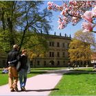 Spaziergang zur Magnolienblüte im Schlossgarten