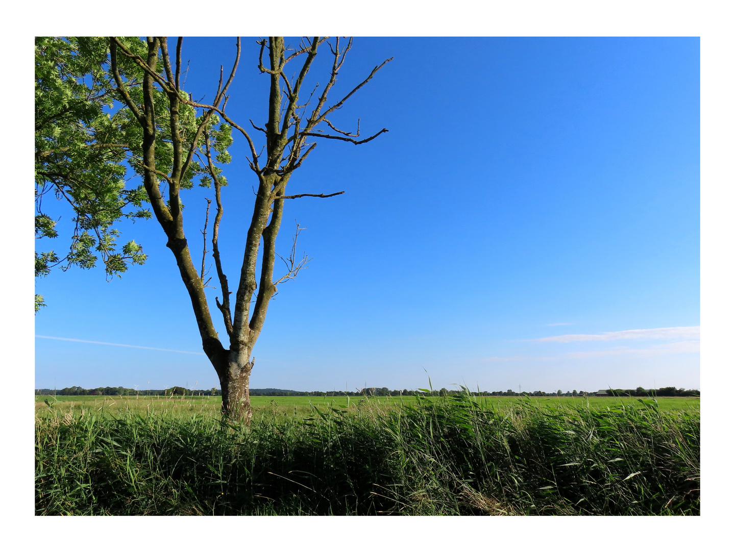 Spaziergang zur Oste  