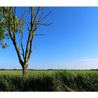 Spaziergang zur Oste  