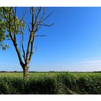 Spaziergang zur Oste  