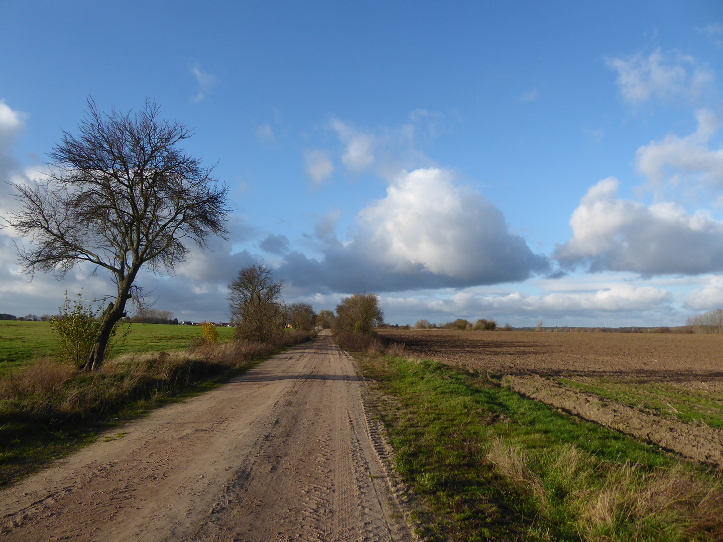 Spaziergang zwischen den Feldern