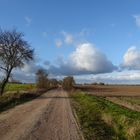 Spaziergang zwischen den Feldern