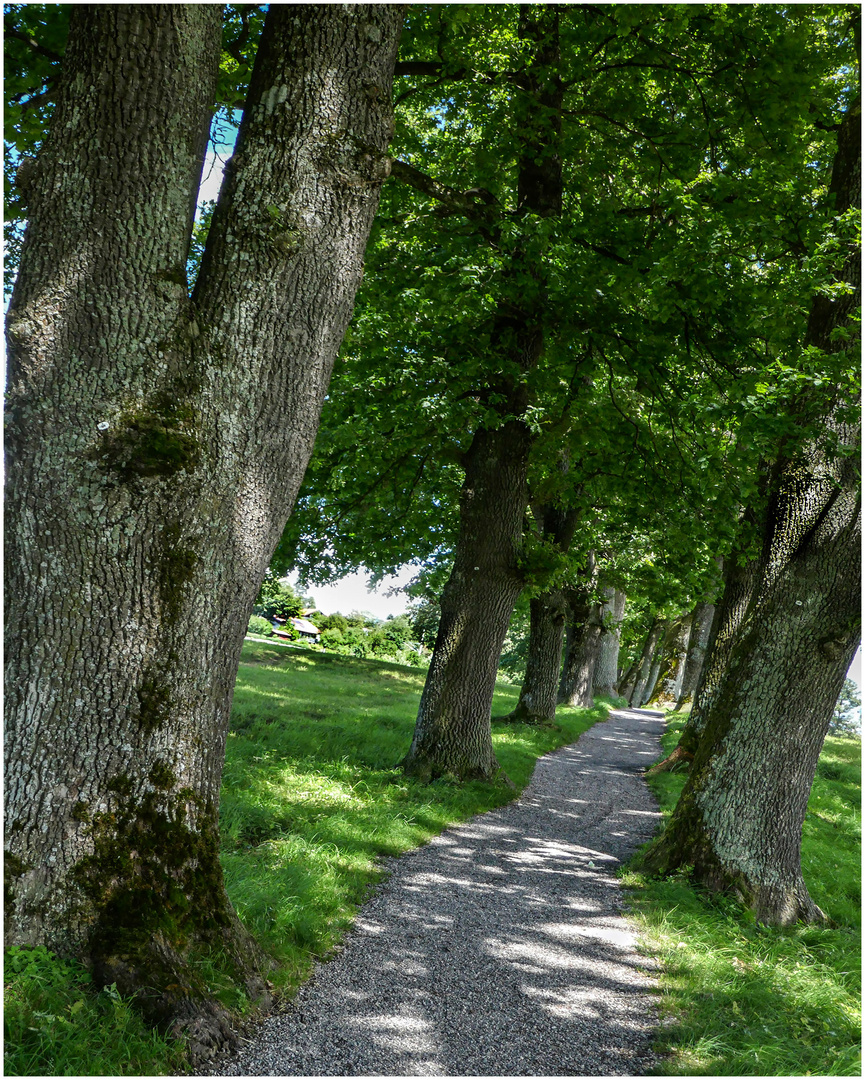 Spazierweg
