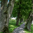Spazierweg