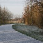 Spazierweg am Naturschutzgebiet in Wesseling