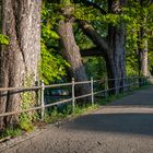 Spazierweg am Oblatterwall