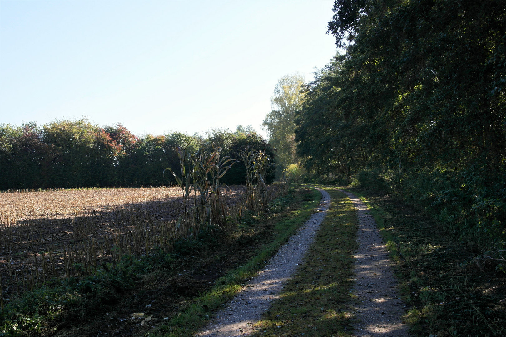 Spazierweg am Walkweiher Dinkelsbühl