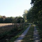 Spazierweg am Walkweiher Dinkelsbühl