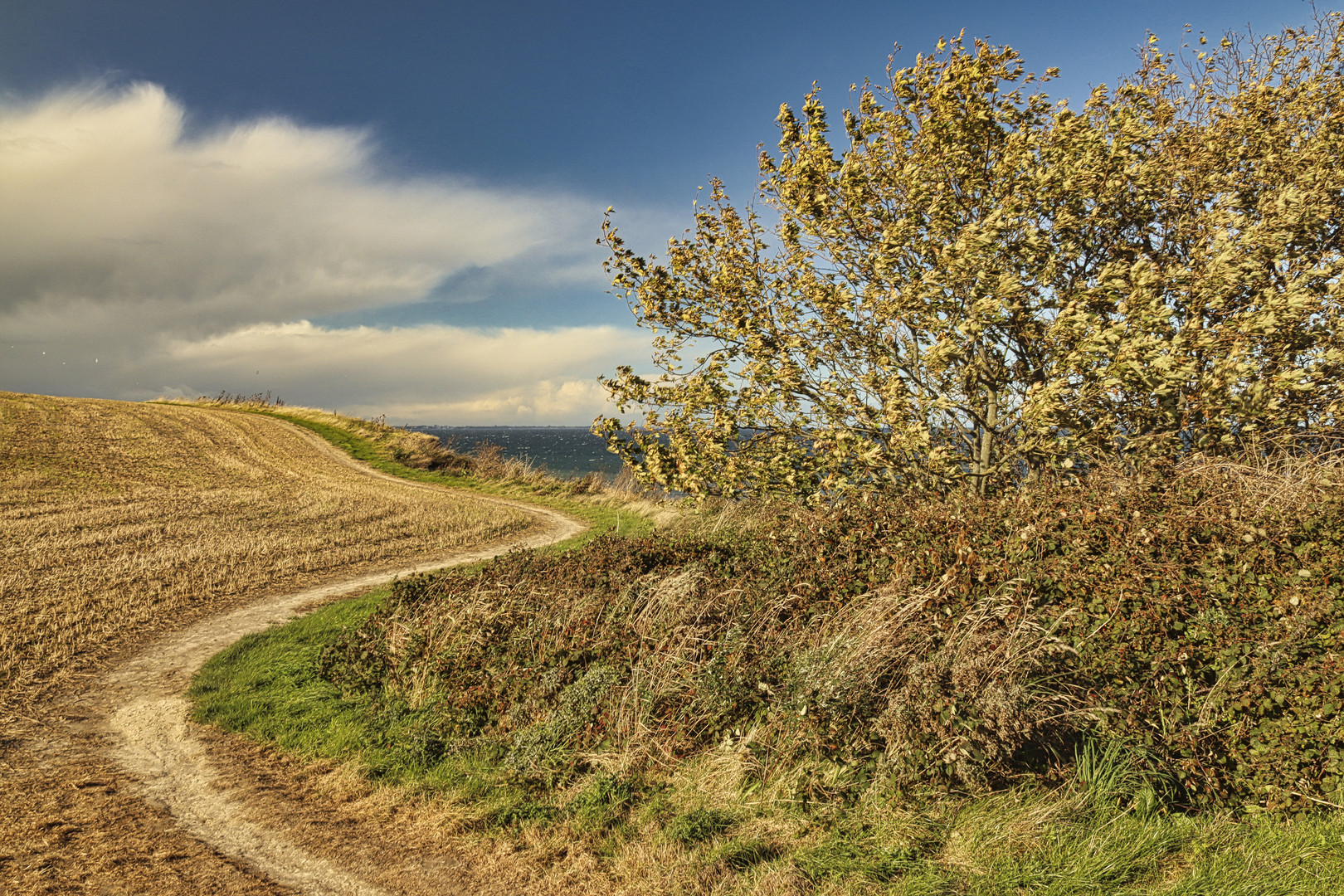 Spazierweg an der Steilküste